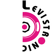 LEVISTRONIC