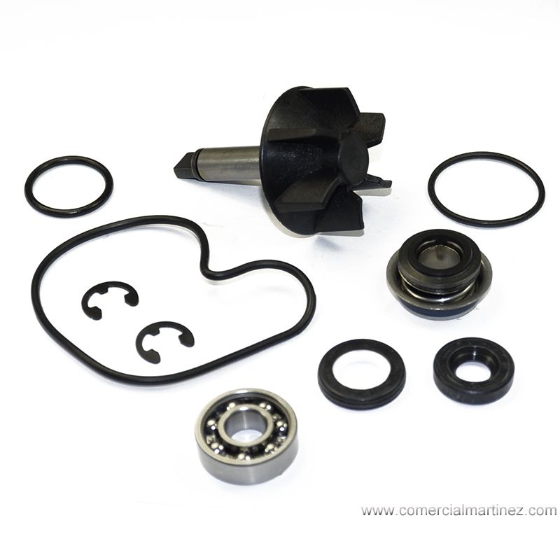Kit reparación bomba de agua Suzuki Burgman 125,200, 250cc.