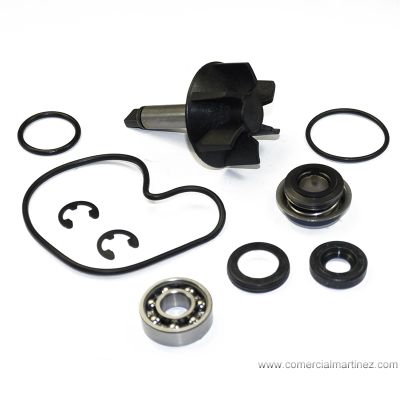 Kit reparación bomba de agua Suzuki Burgman 125,200, 250cc.