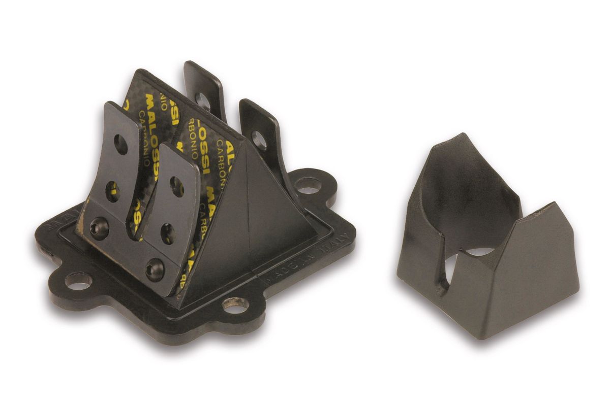 Caja láminas Malossi VL12 Aprilia SR 50, Scarabeo, Rally