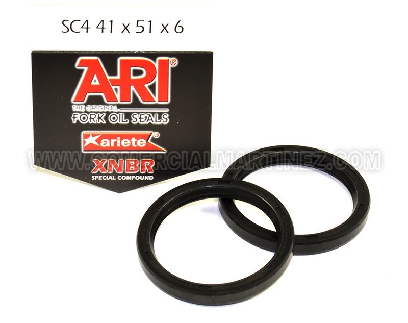 Kit retenes de horquilla 41 X 51 X 6