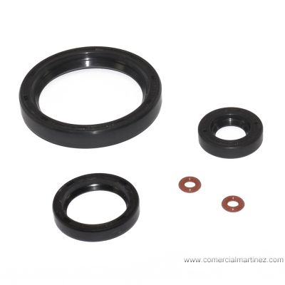 Kit de retenes Moto Guzzi V35, V50, V65, V73