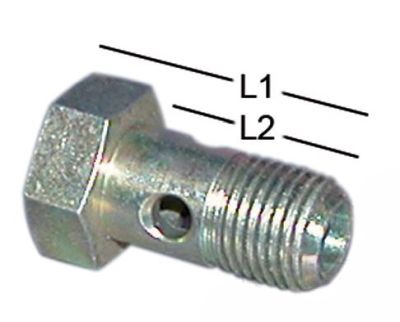 Tornillo para Banjo M - 8 x 1,0 M