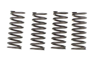 Muelles de embrague EBC Honda TRX 420 TM FourTrax '10-'11