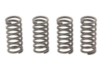 Muelles de embrague EBC Honda CBR 125 '04-'14