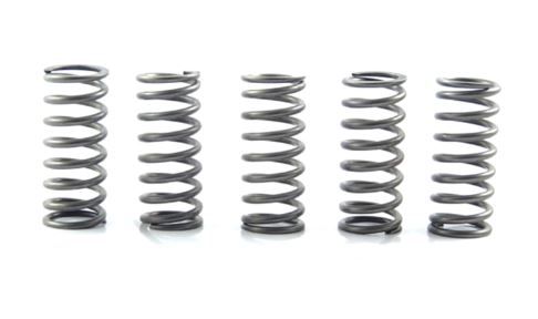Muelles de embrague EBC Honda VTR 1000 F Fire Storm '97-'04, XL 1000 V Varadero '99-'02