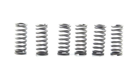 Muelles de embrague EBC KTM EXC 400 '02-'05, EXC 450 '03-'09