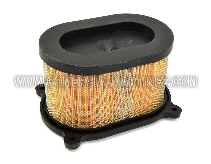 Filtro de Aire Hyosung Gt Comet R 125/250/600 1