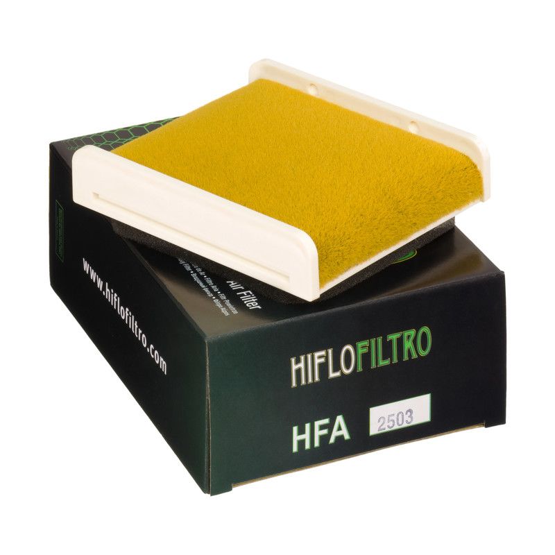 Filtro de Aire Hiflofiltro HFA2503