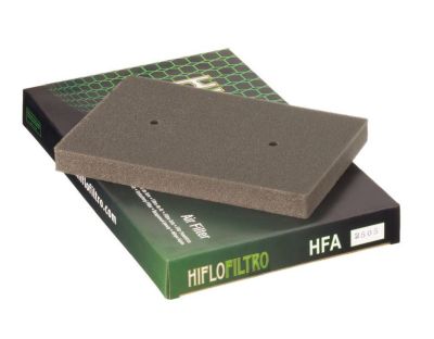 Filtro de Aire Hiflofiltro HFA2505