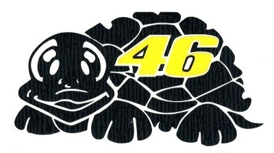 Adhesivo 46 Tortuga Negra Amarilla
