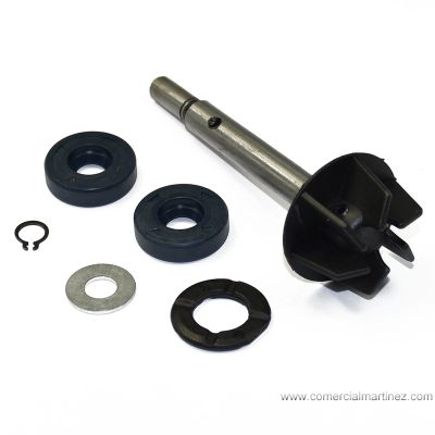 Kit reparación bomba de agua Aprilia Scarabeo, Leonardo 125/150