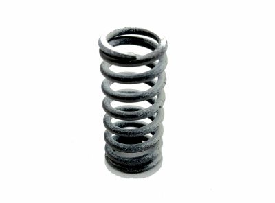 Muelle Embrague Rieju Marathón 125 09/17 (Motor WR)