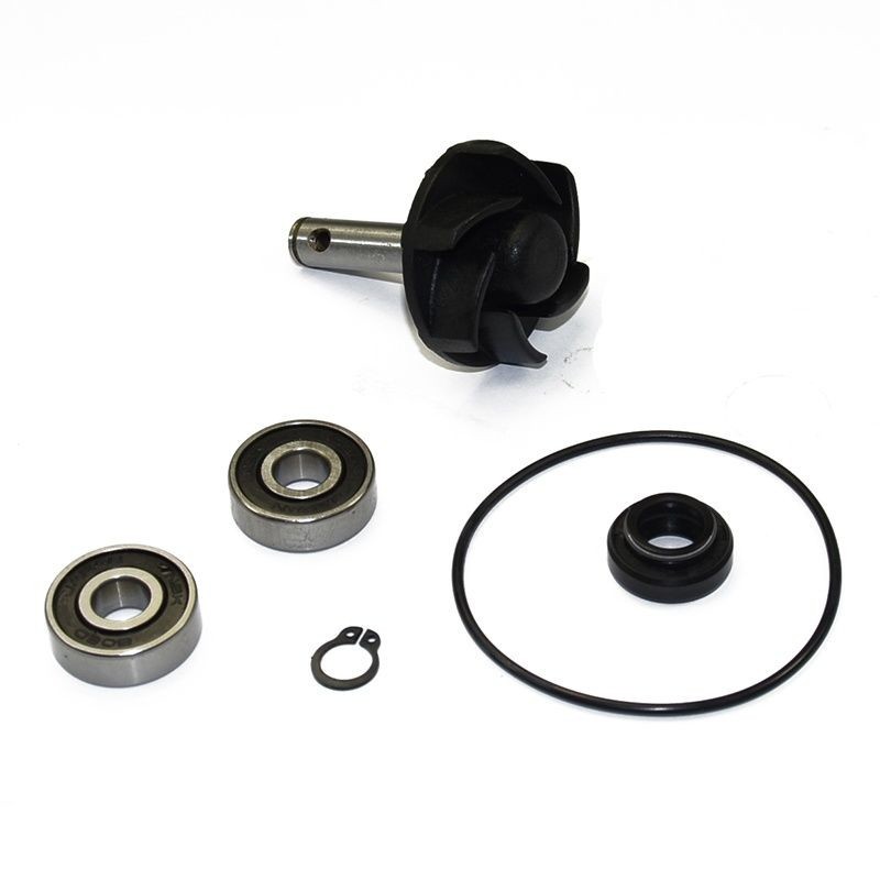 Kit reparación bomba de agua para motores Minarelli Horizontal