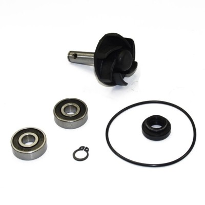 Kit reparación bomba de agua para motores Minarelli Horizontal
