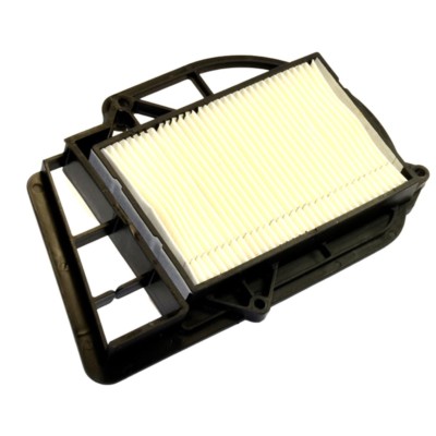 Filtro de Aire Yamaha X-Max 250 '03-'09