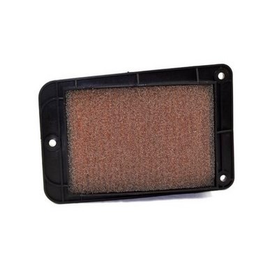 Filtro de aire compatible con Adiva AD 125, Peugeot Tweet y SYM Symphony, Jet14, Fiddle – Ref. 1098314 / F2644907 / HFA5101 1