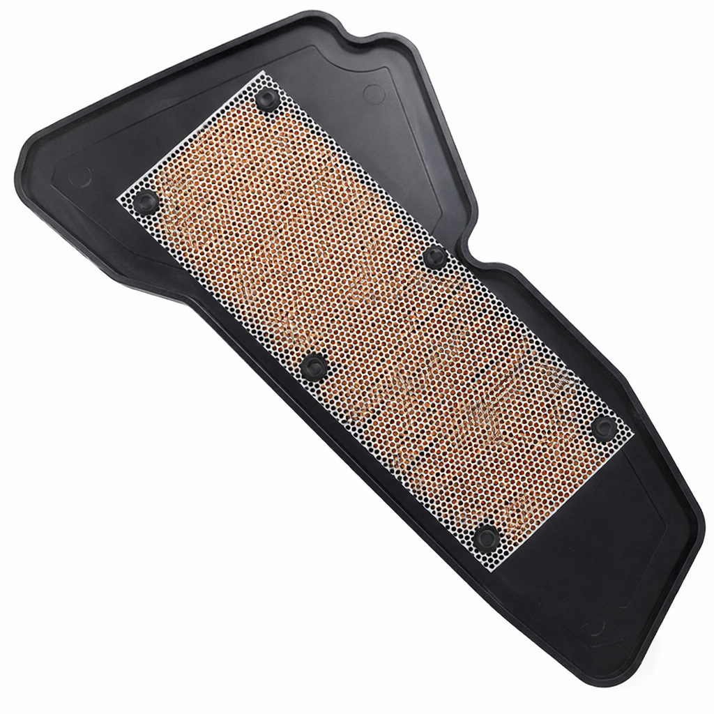 Filtro de Aire Yamaha D’light 125 2021-2023 LTS-C