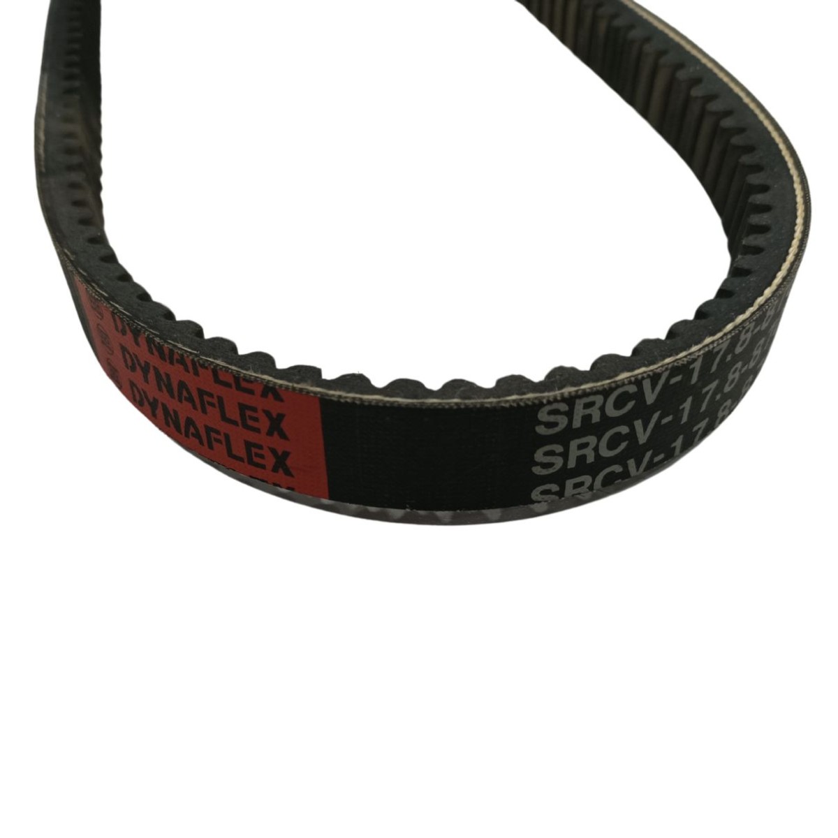 Correa Dynaflex Paggio Velofax