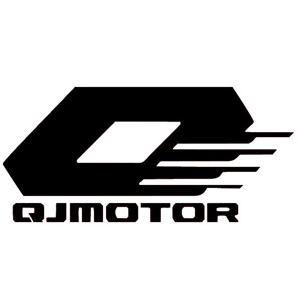 Adhesivo vinilo QJMOTOR 4,5 x 10 cm – pegatina decorativa resistente para moto