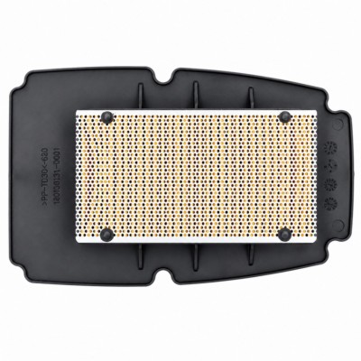 recambio_filtro_aire_VOGE_DS650_MIW