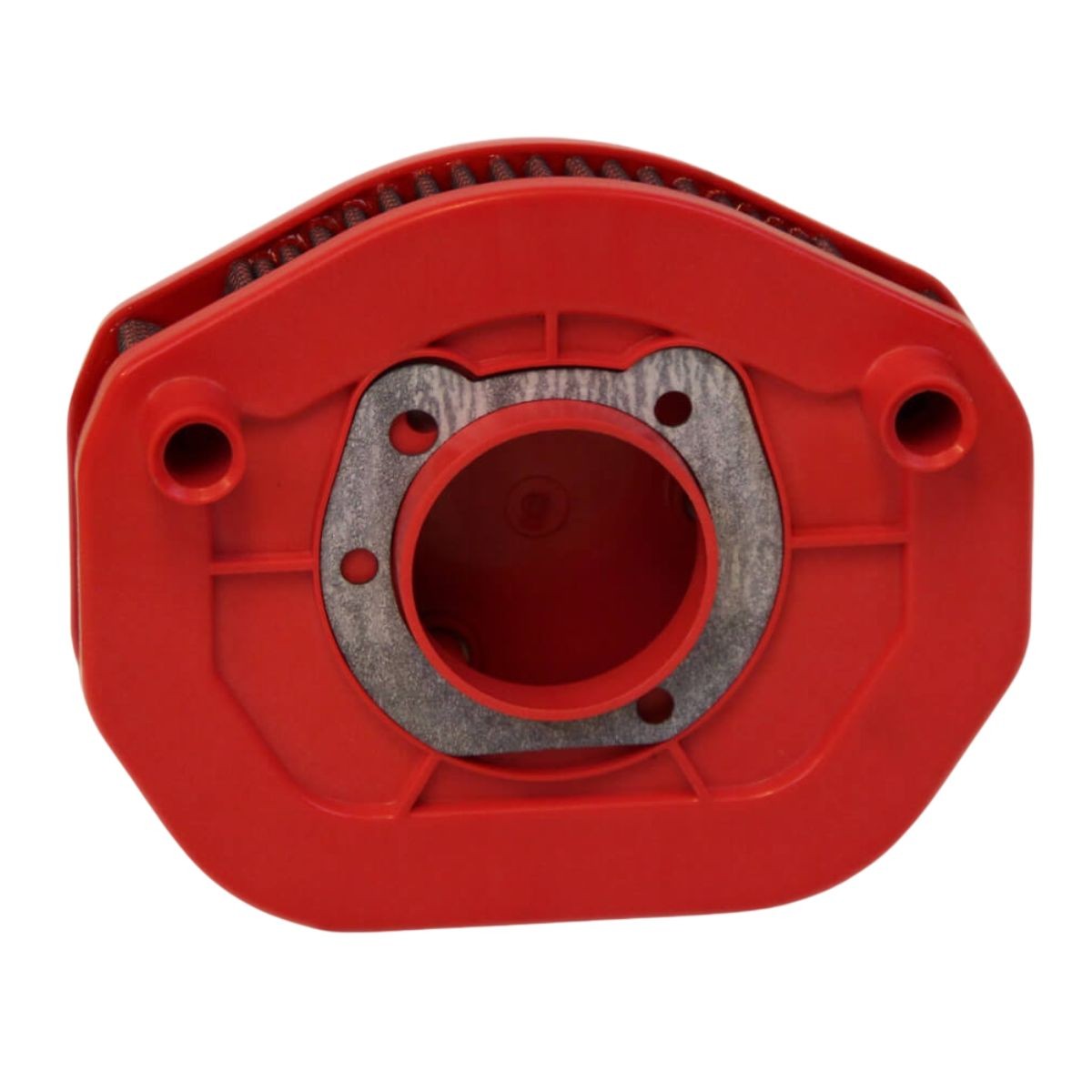 Filtro de Aire BMC reutilizable Harley Davidson XL 883 N
