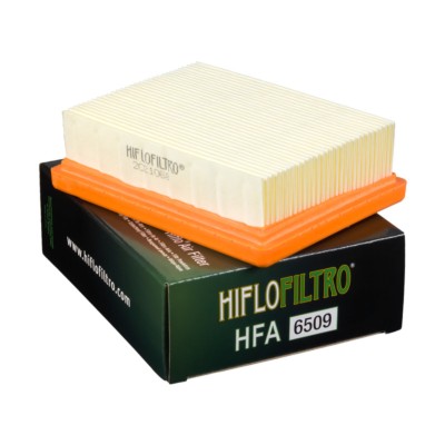 Filtro de aire Hiflofiltro HFA6509