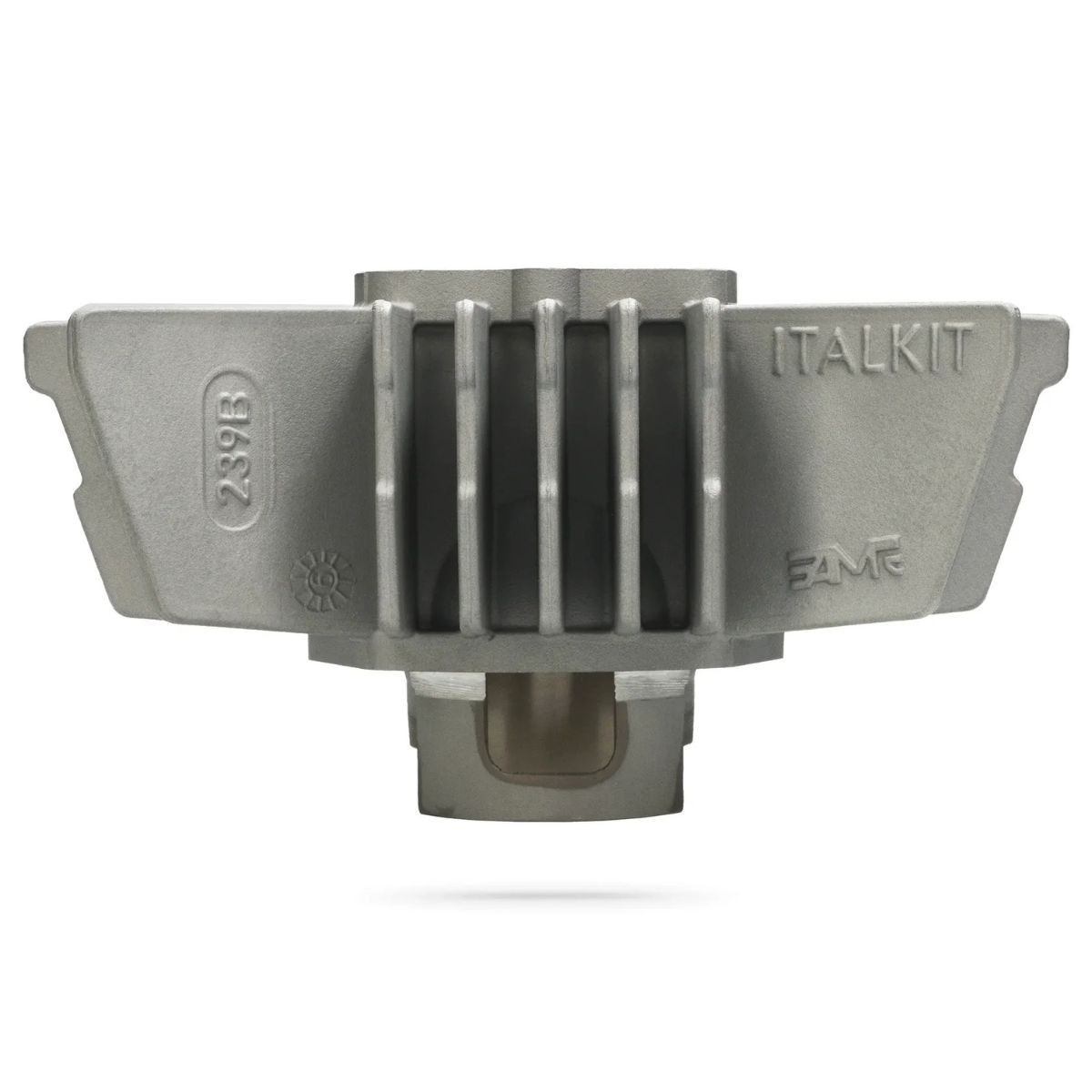 Equipo de motor Italkit 74cc Derbi Variant Start 48mm Carrera 40