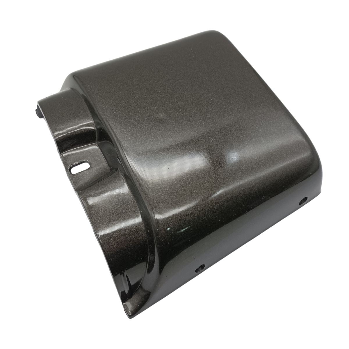 Placa Colin RIEJU RS-1 Gris Metalizado