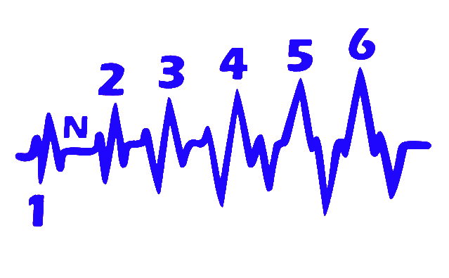 Adhesivo Cardio Marchas Moto 100 x 50 mm.