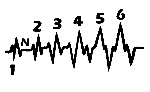 Adhesivo Cardio Marchas Moto 100 x 50 mm.