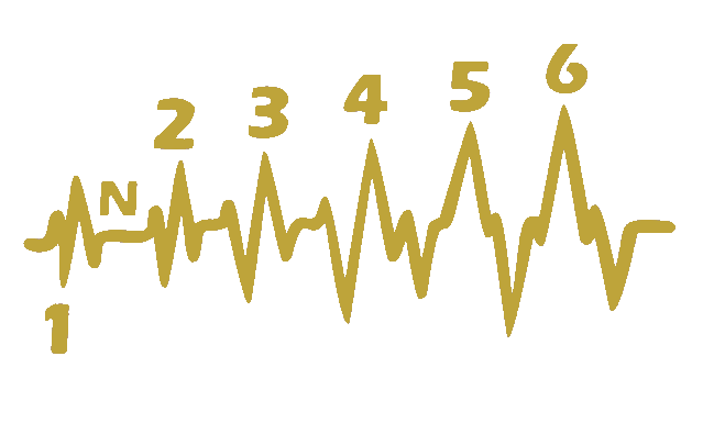 Adhesivo Cardio Marchas Moto 100 x 50 mm.