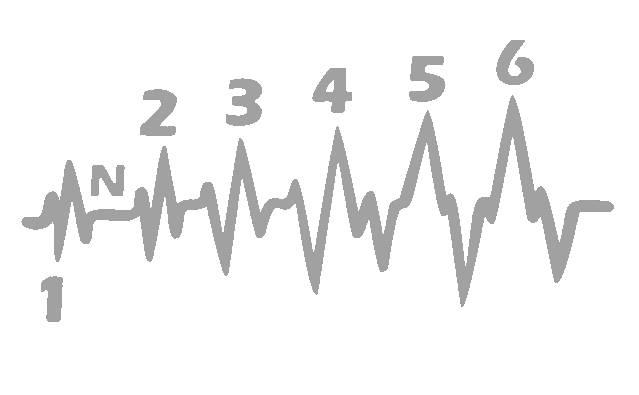 Adhesivo Cardio Marchas Moto 100 x 50 mm.