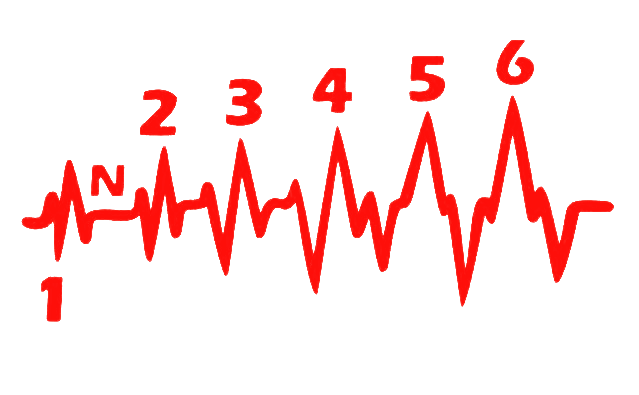 Sticker moto Cardio Marchas 100x50 mm vinilo resistente