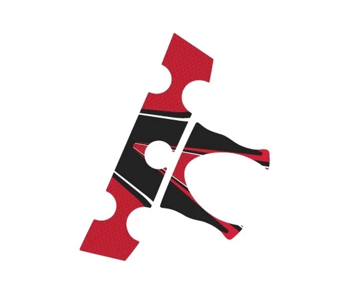 Protector de tija RADIKAL colores azul rojo gris para Yamaha FZ6 S2 y Fazer S2 1